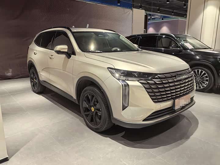 Haval H6 2024 2024款 1.5T 两驱Pro