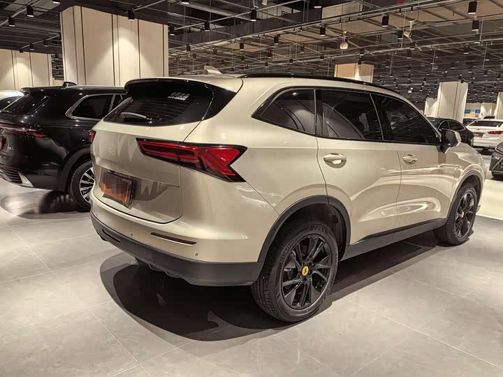Haval H6 2024 2024款 1.5T 两驱Pro