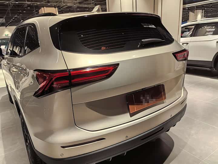 Haval H6 2024 2024款 1.5T 两驱Pro