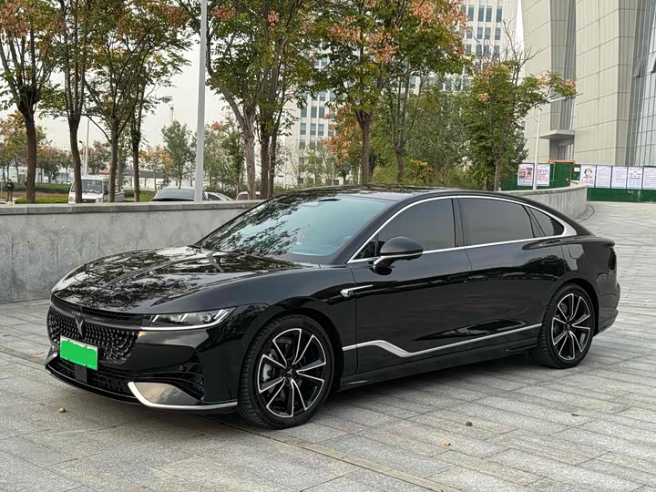 Voyah Passion 2024 2024款 PHEV 四驱超长续航旗舰版