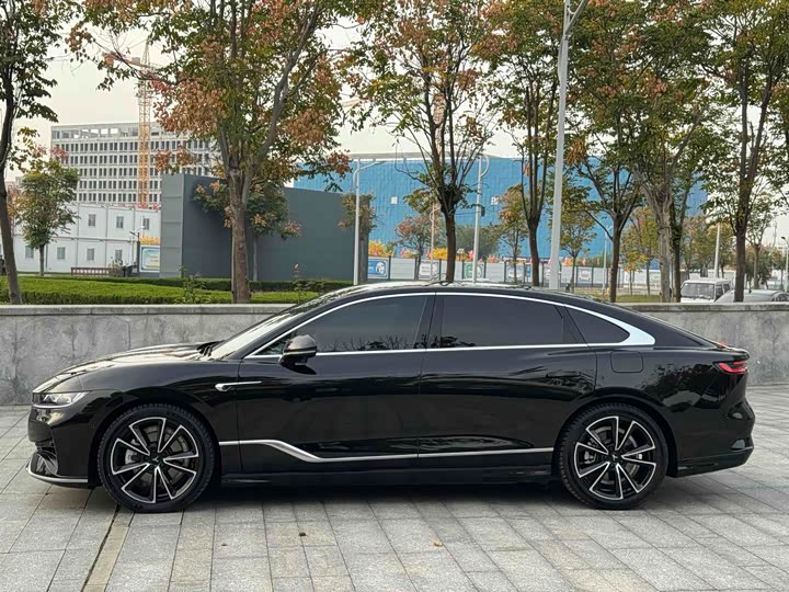 Voyah Passion 2024 2024款 PHEV 四驱超长续航旗舰版