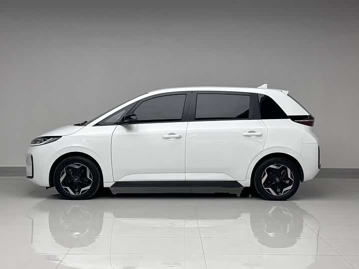 BYD D1 2022 2022款 舒适版