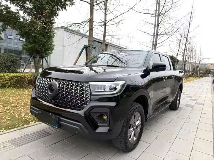 Great Wall Pao 2024 2024款 2.4T商用版手动柴油四驱精英型