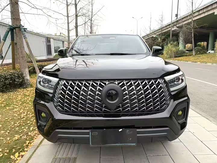 Great Wall Pao 2024 2024款 2.4T商用版手动柴油四驱精英型