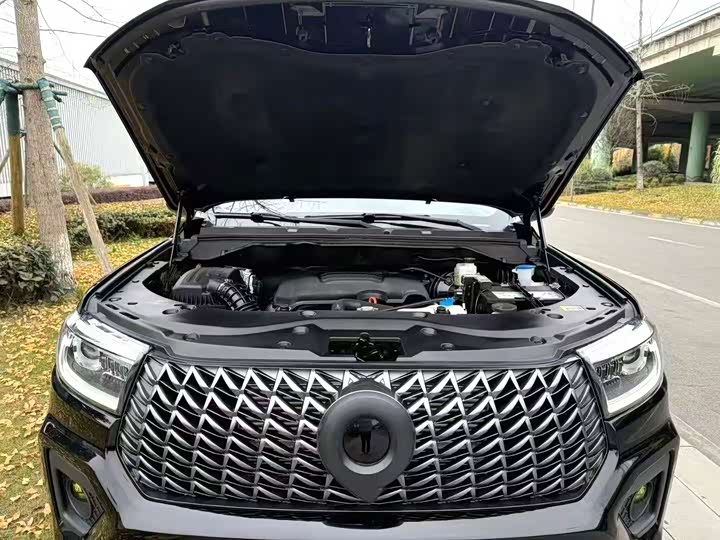 Great Wall Pao 2024 2024款 2.4T商用版手动柴油四驱精英型