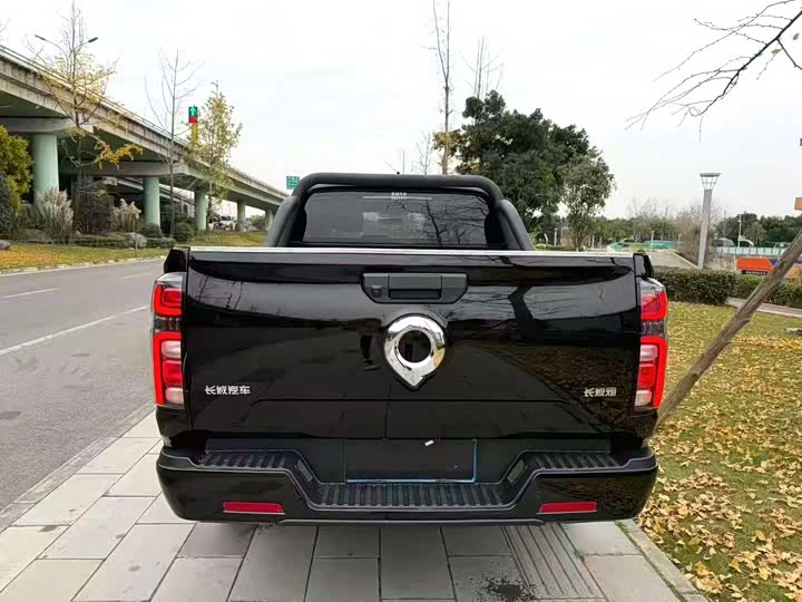 Great Wall Pao 2024 2024款 2.4T商用版手动柴油四驱精英型