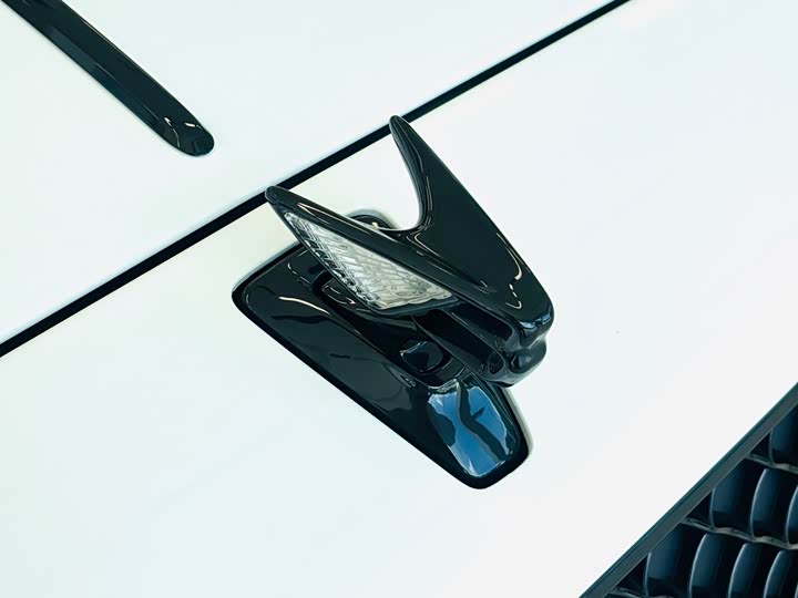 Bentley Flying Spur 2023 2023款 4.0T V8 S