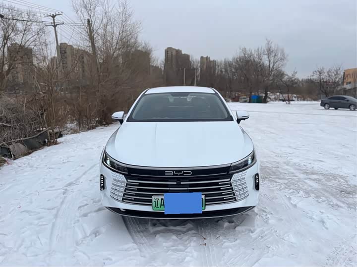 BYD Destroyer 05 2024 2024款 DM-i 120KM 领航荣耀版