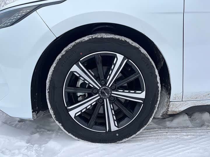 BYD Destroyer 05 2024 2024款 DM-i 120KM 领航荣耀版