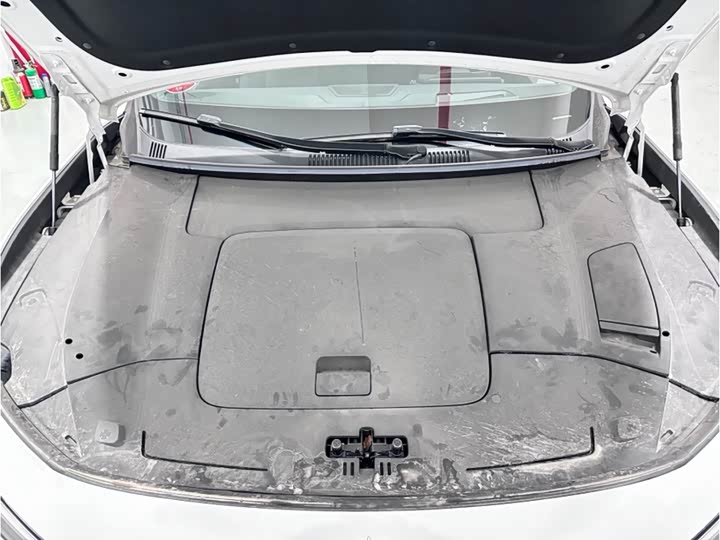 Polestar 4 2024 2024款 双电机长续航PLUS 双星互联版