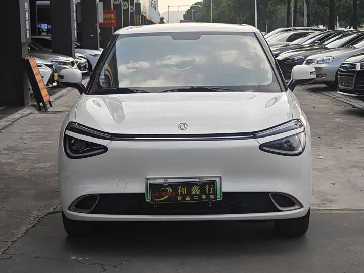 Dongfeng Nammi 01 2024 2024款 焕新版 330 Air