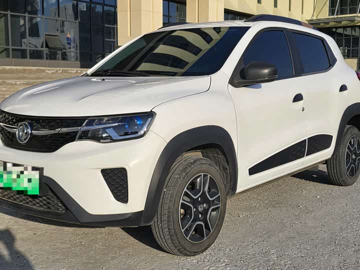 Dongfeng Nammi Nano EX1 Pro 2023 2023款 PRO 轻风版闪电型