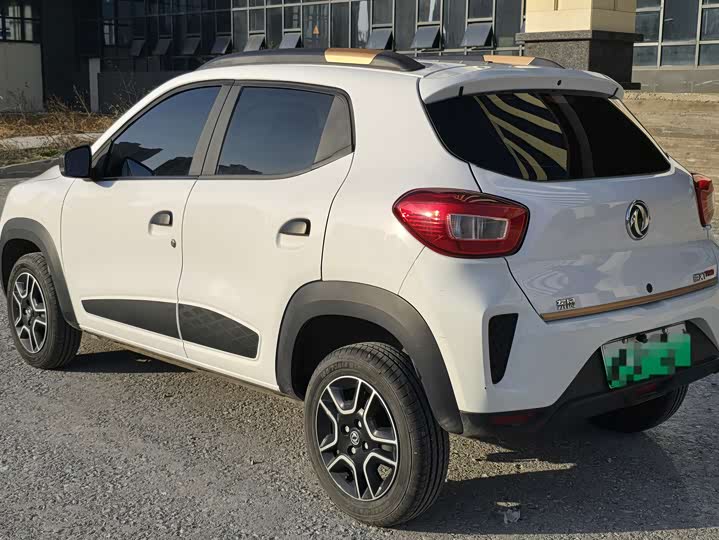 Dongfeng Nammi Nano EX1 Pro 2023 2023款 PRO 轻风版闪电型