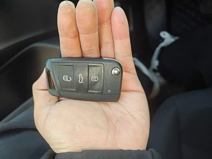 Volkswagen Polo 2023 2023款 Plus 1.5L 自动纵情乐活版