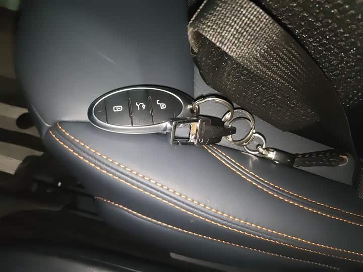 Bestune NAT 2023 2023款 PRO 悦享出行版 419km