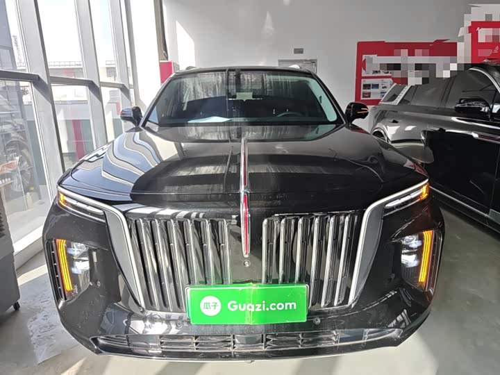 Hongqi E-HS9 2022 2022款 690km 旗享版 六座