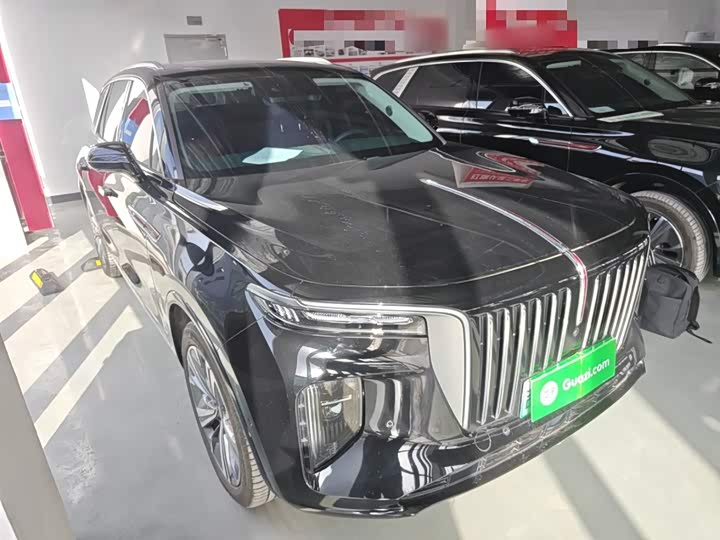 Hongqi E-HS9 2022 2022款 690km 旗享版 六座
