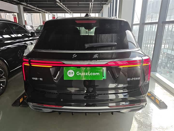 Hongqi E-HS9 2022 2022款 690km 旗享版 六座