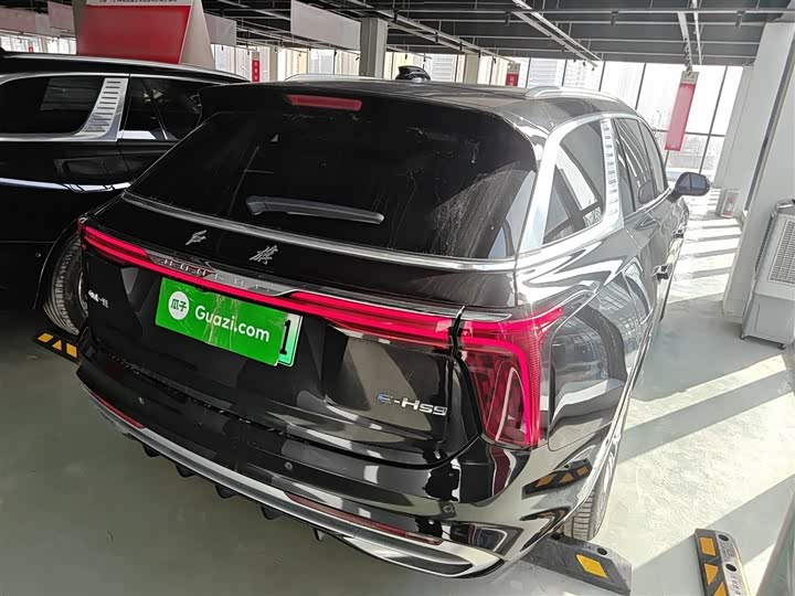 Hongqi E-HS9 2022 2022款 690km 旗享版 六座