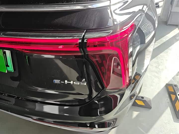 Hongqi E-HS9 2022 2022款 690km 旗享版 六座