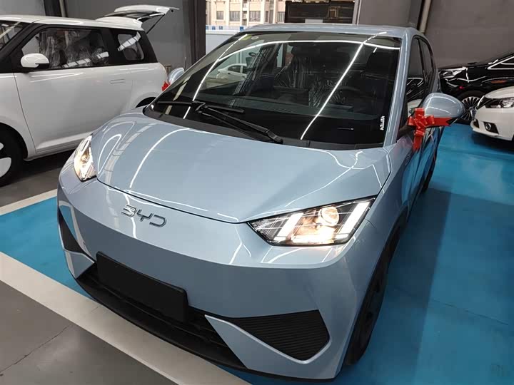 BYD Seagull 2025 2025款 305km 活力版