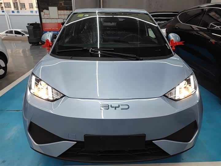 BYD Seagull 2025 2025款 305km 活力版