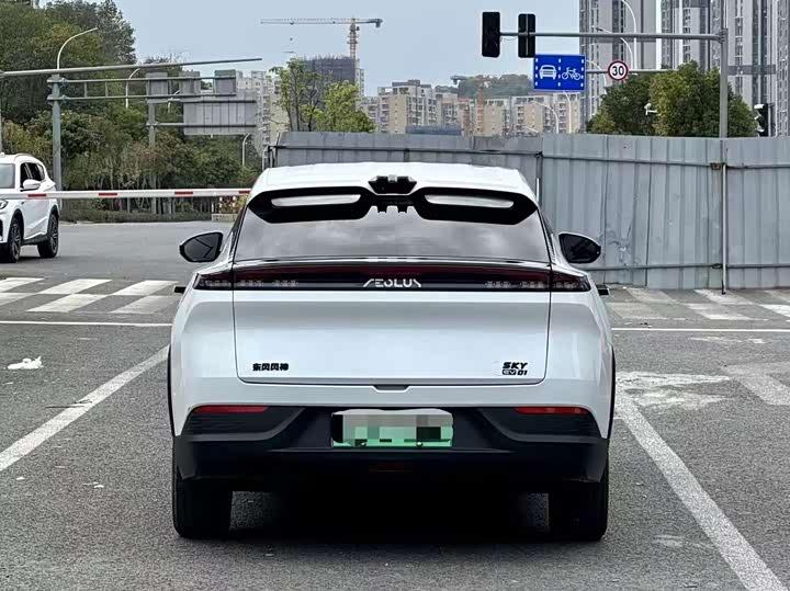 Dongfeng Aeolus Sky EV01 2024 2024款 445km PRO行政版