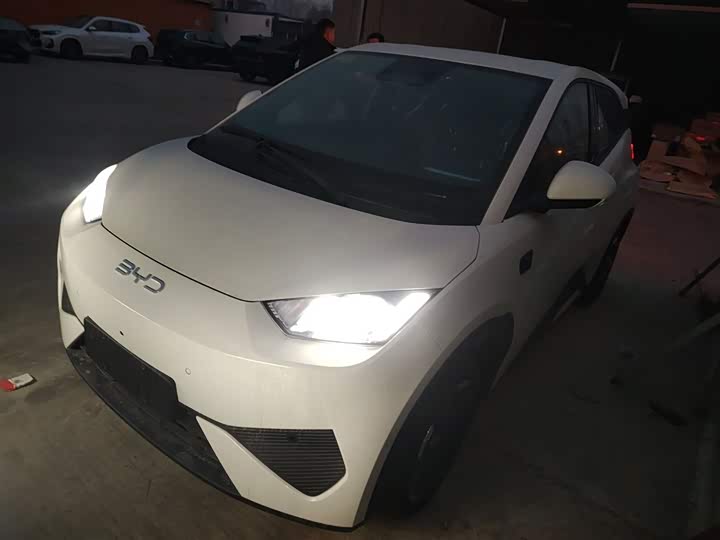 BYD Seagull 2025 2025款 305km 活力版