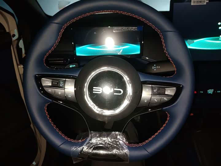 BYD Seagull 2025 2025款 305km 活力版