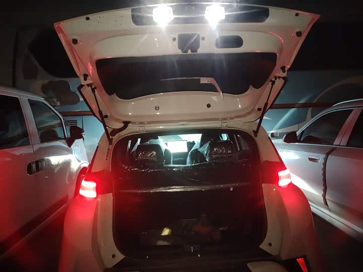 BYD Seagull 2025 2025款 305km 活力版