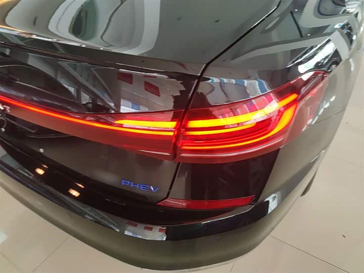 Volkswagen Passat Hybrid 2025 2025款 430PHEV 混动商务版