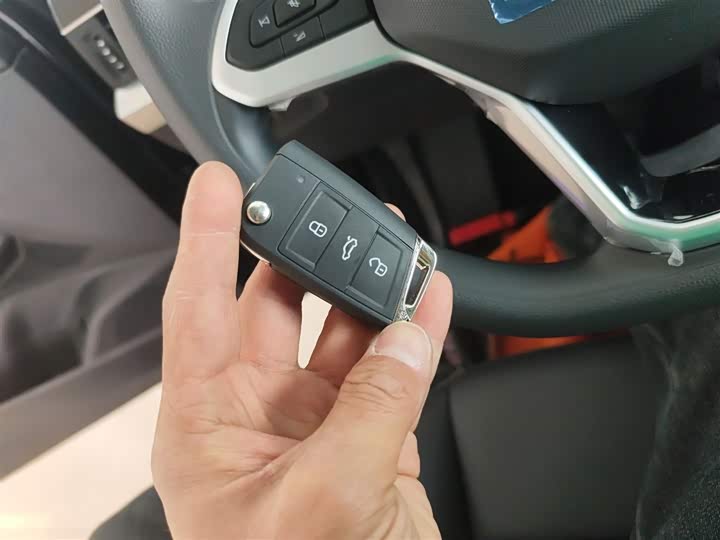 Volkswagen Passat Hybrid 2025 2025款 430PHEV 混动商务版