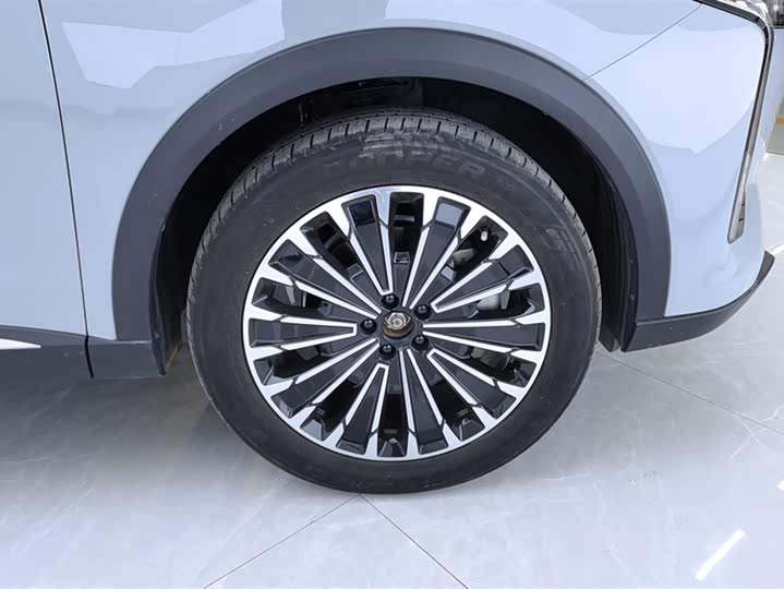 Exeed RX C-DM Hybrid 2024 2024款 1.5T 长续航Pro