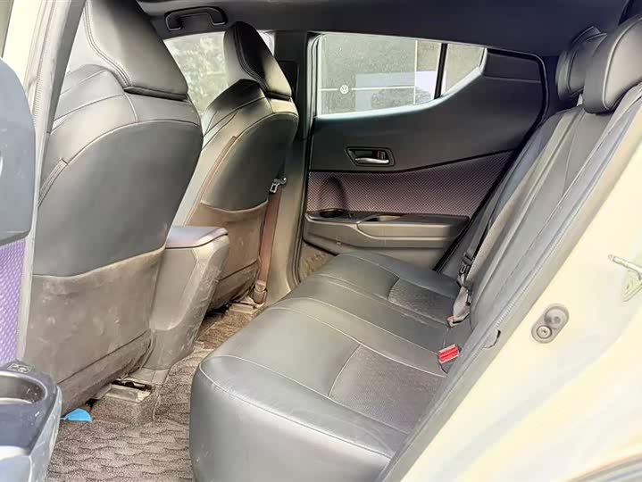 Toyota Izoa EV 2020 2020款 E·智享版