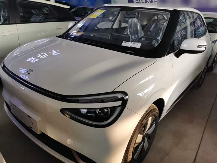 Dongfeng Nammi 01 2024 2024款 焕新版 330 Air