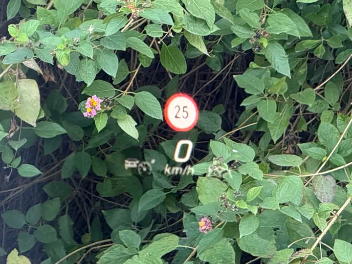 Mercedes-Benz Maybach S-Class 2025 2025款 S 480 4MATIC