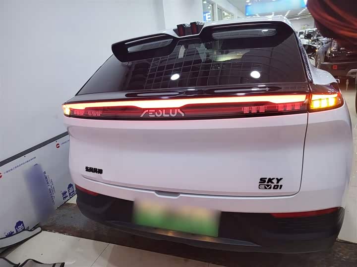 Dongfeng Aeolus Sky EV01 2024 2024款 530km PRO