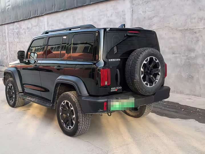 Tank 300 Hybrid 2025 2025款 Hi4-T 37.1kWh