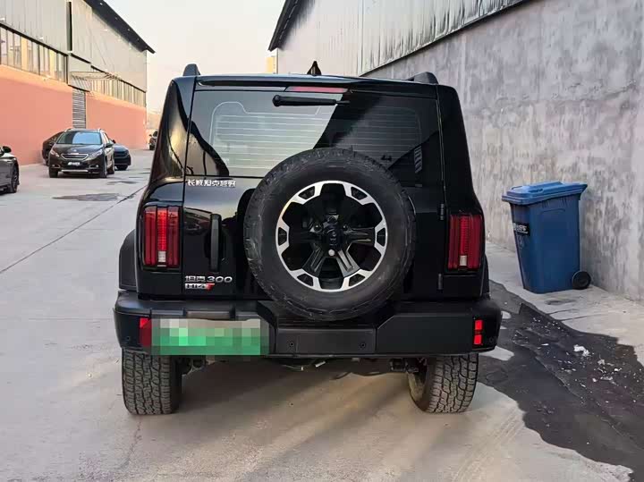 Tank 300 Hybrid 2025 2025款 Hi4-T 37.1kWh