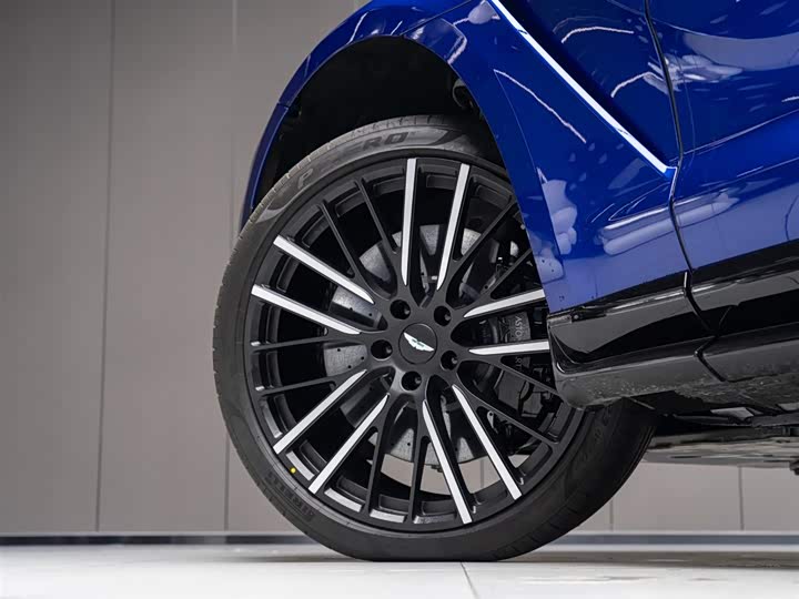 Aston Martin DBX 2023 2023款 4.0T V8 707