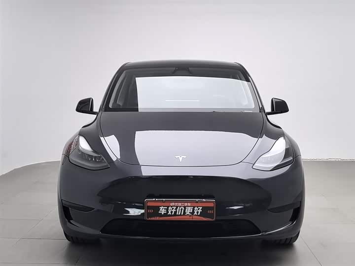 Tesla Model Y 2024 2024款 后轮驱动版