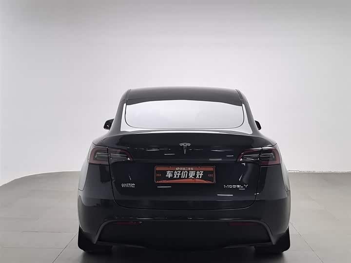 Tesla Model Y 2024 2024款 后轮驱动版
