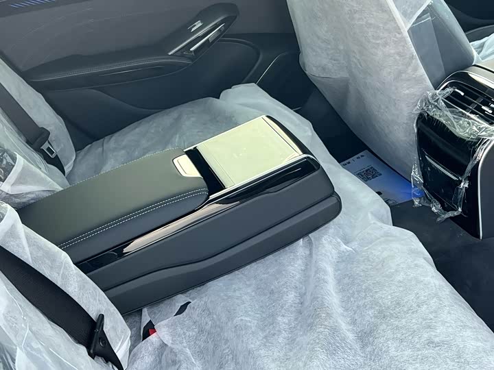 Hongqi H9 2025 2025款 改款 2.0T 两驱旗畅私享风尚版 5座