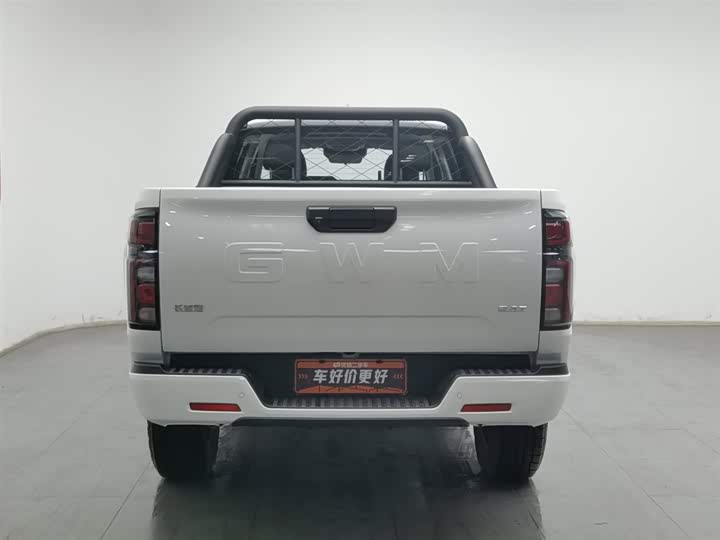 Great Wall Pao 2026 2026款 2.4T商用炮自动柴油四驱高寒版