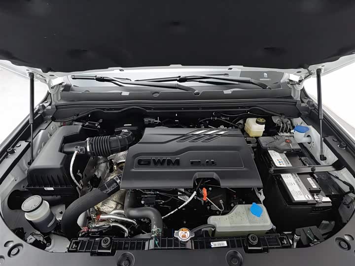 Great Wall Pao 2026 2026款 2.4T商用炮自动柴油四驱高寒版