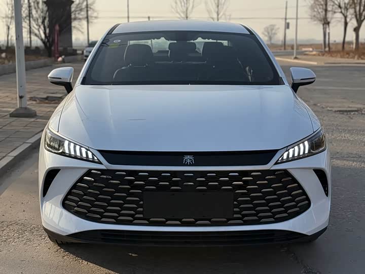 BYD Qin Plus 2025 2025款 DM-i 智驾版 55KM领先型