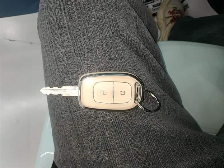 Dongfeng Nammi Nano EX1 2022 2022款 追风版 331KM 标准型