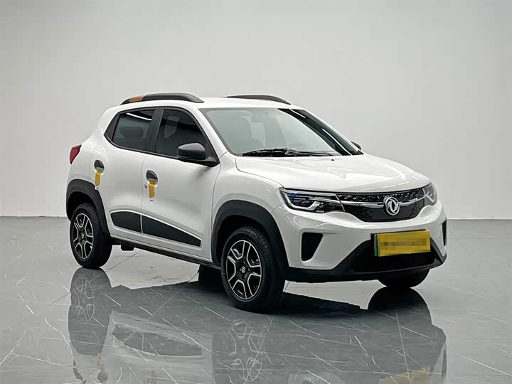 Dongfeng Nammi Nano EX1 Pro 2023 2023款 PRO 轻风版闪电型