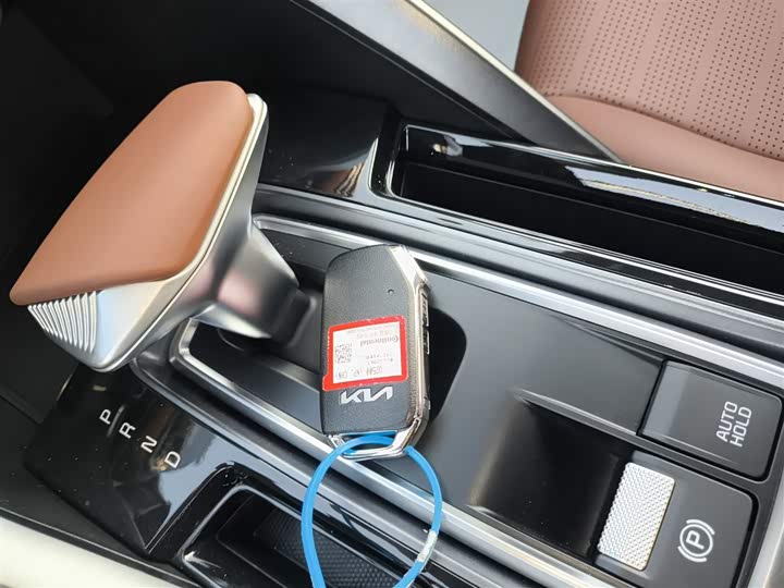 Kia Sportage GT-line 2021 2021款 Ace 2.0L 精彩版