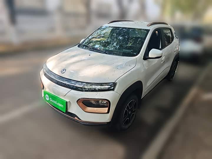 Dongfeng Nammi Nano EX1 2022 2022款 追风版 331KM 标准型